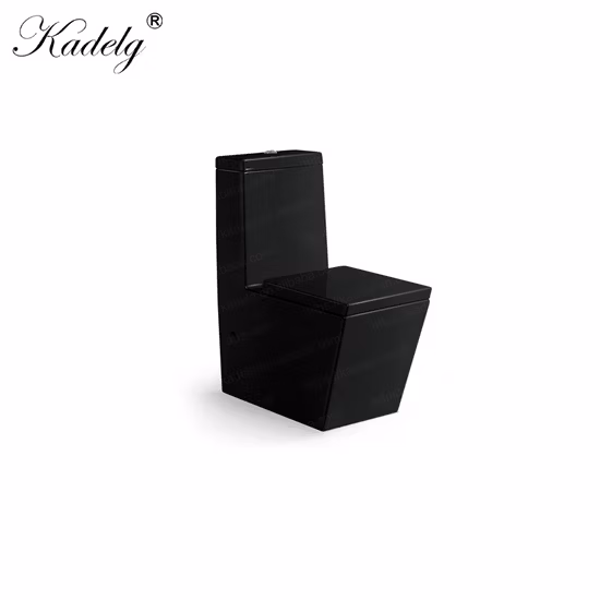 Siège de toilette imprimé Duroplast /OEM imprimant le siège de Toliet en plastique HD pour l'hôtel /Accueil