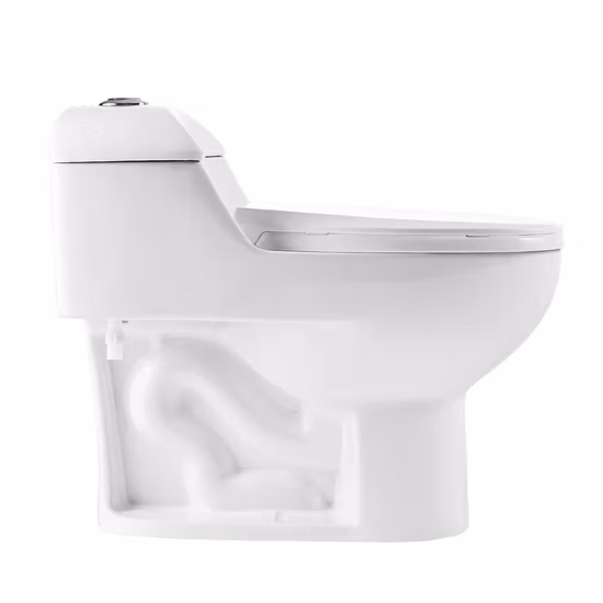 Siège de toilette en céramique de nettoyage facile d'économie d'eau de toilette d'une seule pièce
